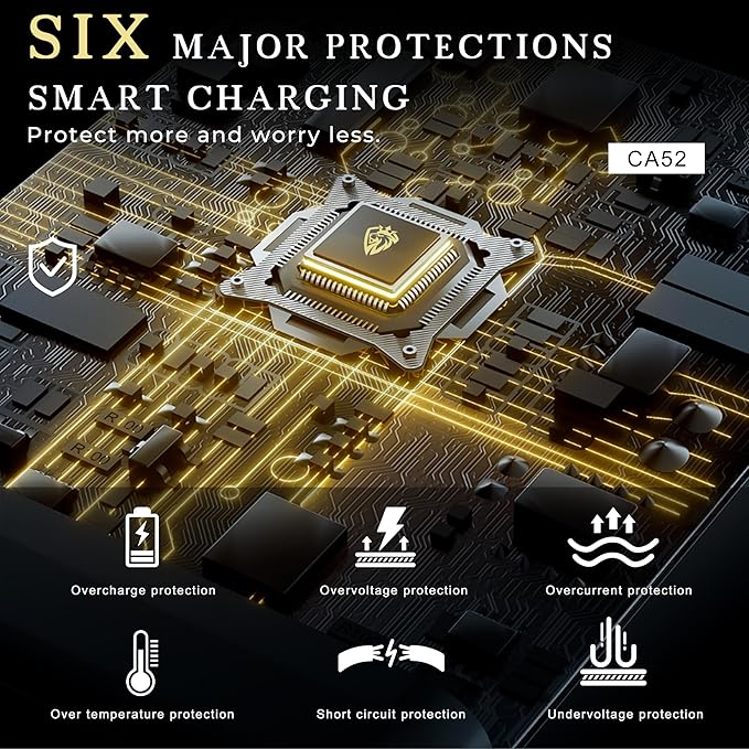 Lenyes car charger c52 08